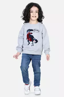BownBee Boys Full Sleeve Sweatshirt - Gray