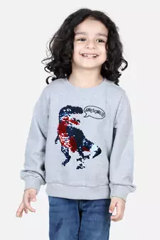 BownBee Boys Full Sleeve Sweatshirt - Gray
