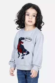BownBee Boys Full Sleeve Sweatshirt - Gray