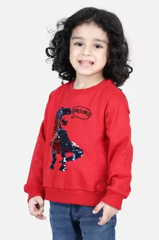BownBee Boys Full Sleeve Sweatshirt - Red