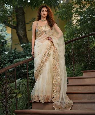 Bageecha Shwet Aur Rangeen Saree 2