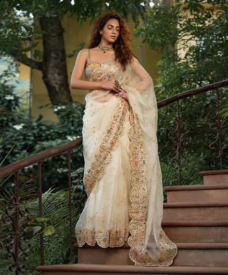 Bageecha Shwet Aur Rangeen Saree 3