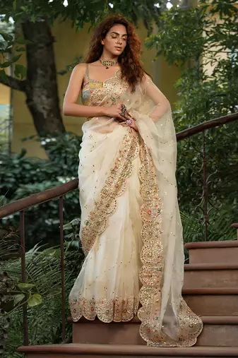 Bageecha Shwet Aur Rangeen Saree