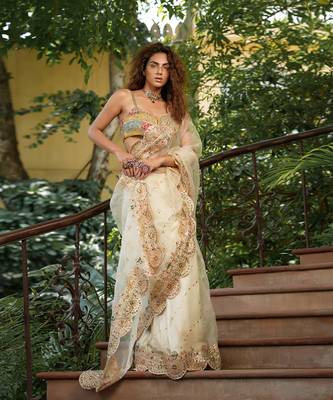 Bageecha Shwet Aur Rangeen Saree 4