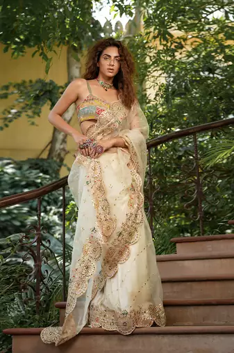 Bageecha Shwet Aur Rangeen Saree