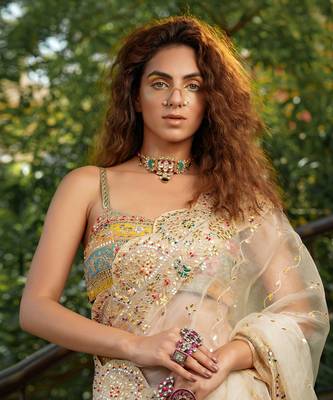 Bageecha Shwet Aur Rangeen Saree 8