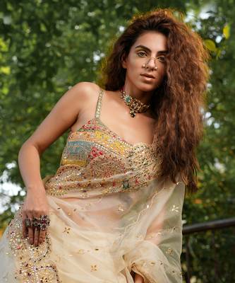Bageecha Shwet Aur Rangeen Saree 10