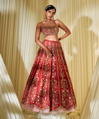 Rusty Red Lehenga Set 2