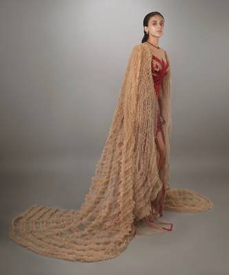 Ruffled Waterfall Sleeve Red Embroidered Skin Net Gown 2