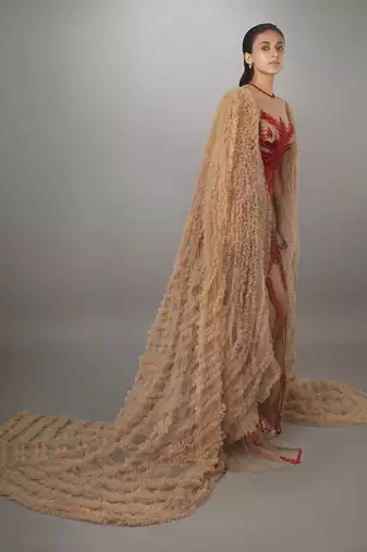 Ruffled Waterfall Sleeve Red Embroidered Skin Net Gown