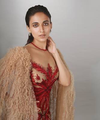 Ruffled Waterfall Sleeve Red Embroidered Skin Net Gown 3