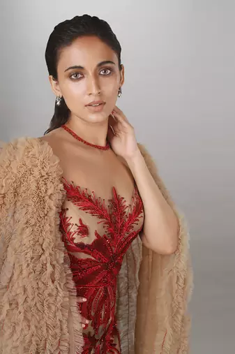 Ruffled Waterfall Sleeve Red Embroidered Skin Net Gown