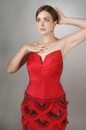 Red Sculpted Bodice Embroidered Mermaid Gown.