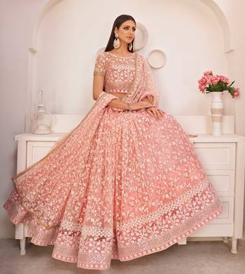 Peach embroidered net semi stitched lehenga 2