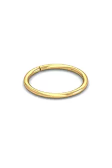 Gold nose-ring