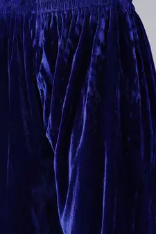 SHADES Royal Blue Velvet Suit (Set of 2)