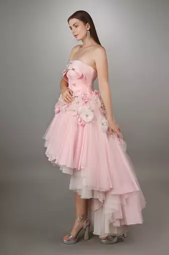 Pink Sculpted Bodice Textured High Low Net Gown.