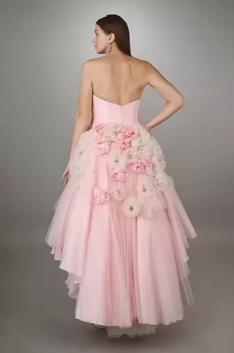 Pink Sculpted Bodice Textured High Low Net Gown.