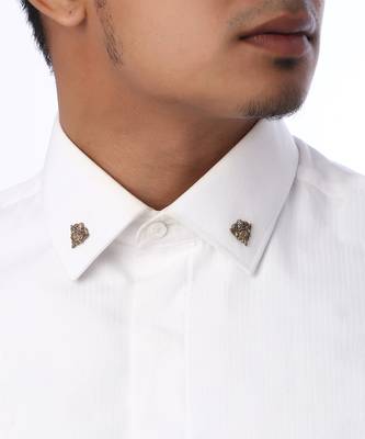 Knight Lion Collar Tips 1