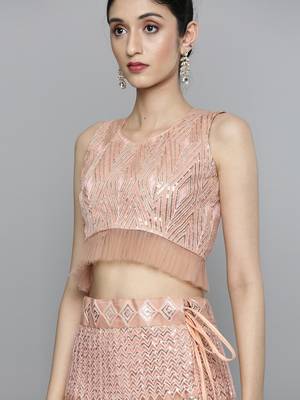 Peach Net Lehenga Choli with Sequins Work 4