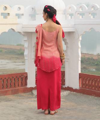 Mouse Pink & Dark Pink Shimmer Skirt Saree 2