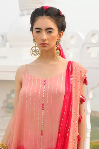 Mouse Pink & Dark Pink Shimmer Skirt Saree
