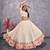 BEIGE THREAD AND SEQUINS EMBROIDERED GEORGETTE FESTIVE & PARTY WEAR SEMI STITCHED LEHENGA