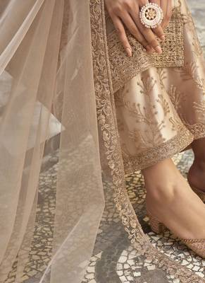 Beige Net Embroidered Pakistani Salwar Kameez 3