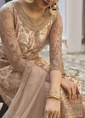 Beige Net Embroidered Pakistani Salwar Kameez 4