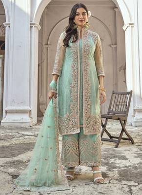 Light green Net Embroidered Pakistani Salwar Kameez 1