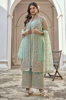 Light green Net Embroidered Pakistani Salwar Kameez