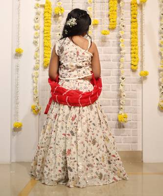 Embroidered Lahenga with beaded crop top and dupatta 4
