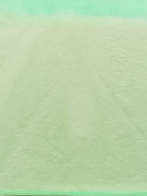  Stunning Multi Shaded Organza Saree with Blouse   Vibrant Green | Perfect for Every Occasion 3