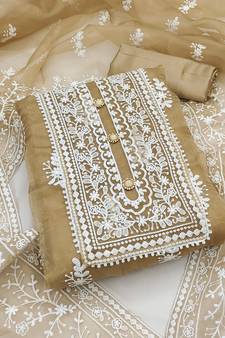 Beige Embroidered Organza Salwar