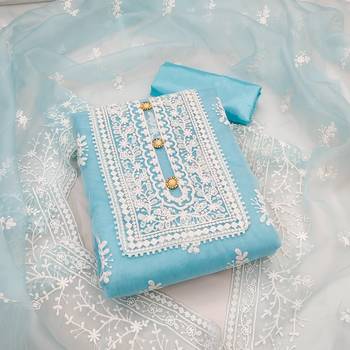 Sky-Blue Embroidered Organza Salwar 1