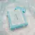 Sky-Blue Embroidered Organza Salwar