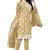 Beige embroidered organza salwar
