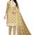 Beige embroidered organza salwar