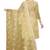Beige embroidered organza salwar