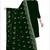Green embroidered organza salwar