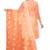 Orange embroidered organza salwar