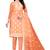 Orange embroidered organza salwar