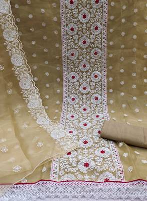Beige Embroidered Organza Salwar 2