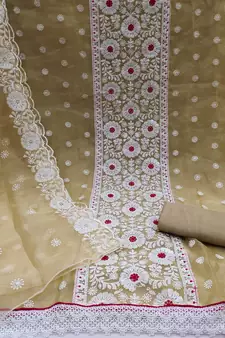 Beige Embroidered Organza Salwar