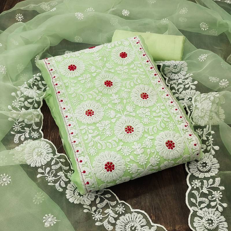 Parrot-green embroidered organza salwar