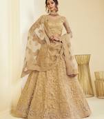 Golden Net Thread Embroidered Semi-Stitched Wedding Lehenga