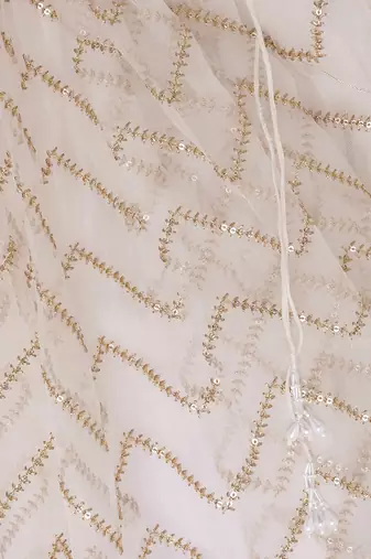 beige organza TWIRLING SKIRT