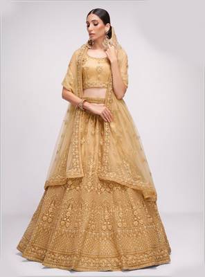winsome Chickoo patch & sequins Embroidered with stone work net fabric Lehenga choli for wedding 1