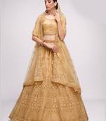 winsome Chickoo patch & sequins Embroidered with stone work net fabric Lehenga choli for wedding
