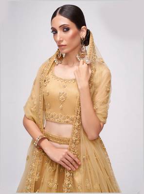 winsome Chickoo patch & sequins Embroidered with stone work net fabric Lehenga choli for wedding 2